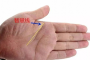 女人3大苦命手相,女人3大苦命手相事业线【生活资讯】