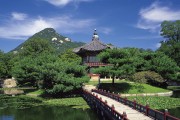 揭秘24年犯太岁生肖，探寻命运之轮背后的影响