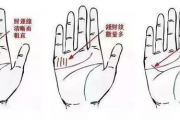 人工智能ai看手相,手相测试扫一扫掌纹【生活资讯】