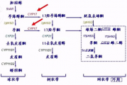 免费算2020运势,2020年免费测运势【生活资讯】